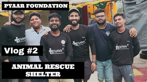 Pyaar Foundation Animal welfare NGO & shelter chandrapur